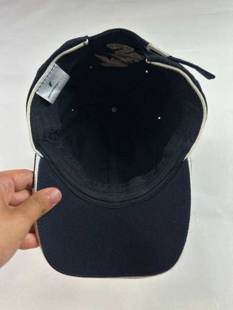 2002 BMW WIlliams F1 racing hat 2002 BMW WIlliams F1 racing hat