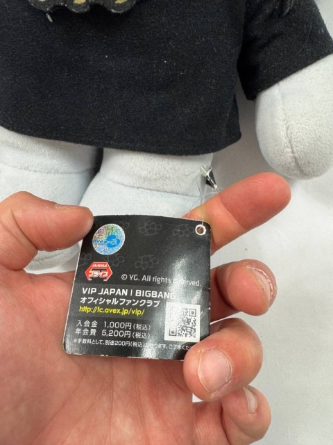 YG Bear x BigBang Bear